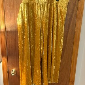 a new day Gold Velvet Pants